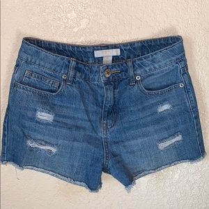 𝙱𝚕𝚞𝚎 𝙹𝚎𝚊𝚗 𝙳𝚎𝚗𝚒𝚖 𝚂𝚑𝚘𝚛𝚝𝚜